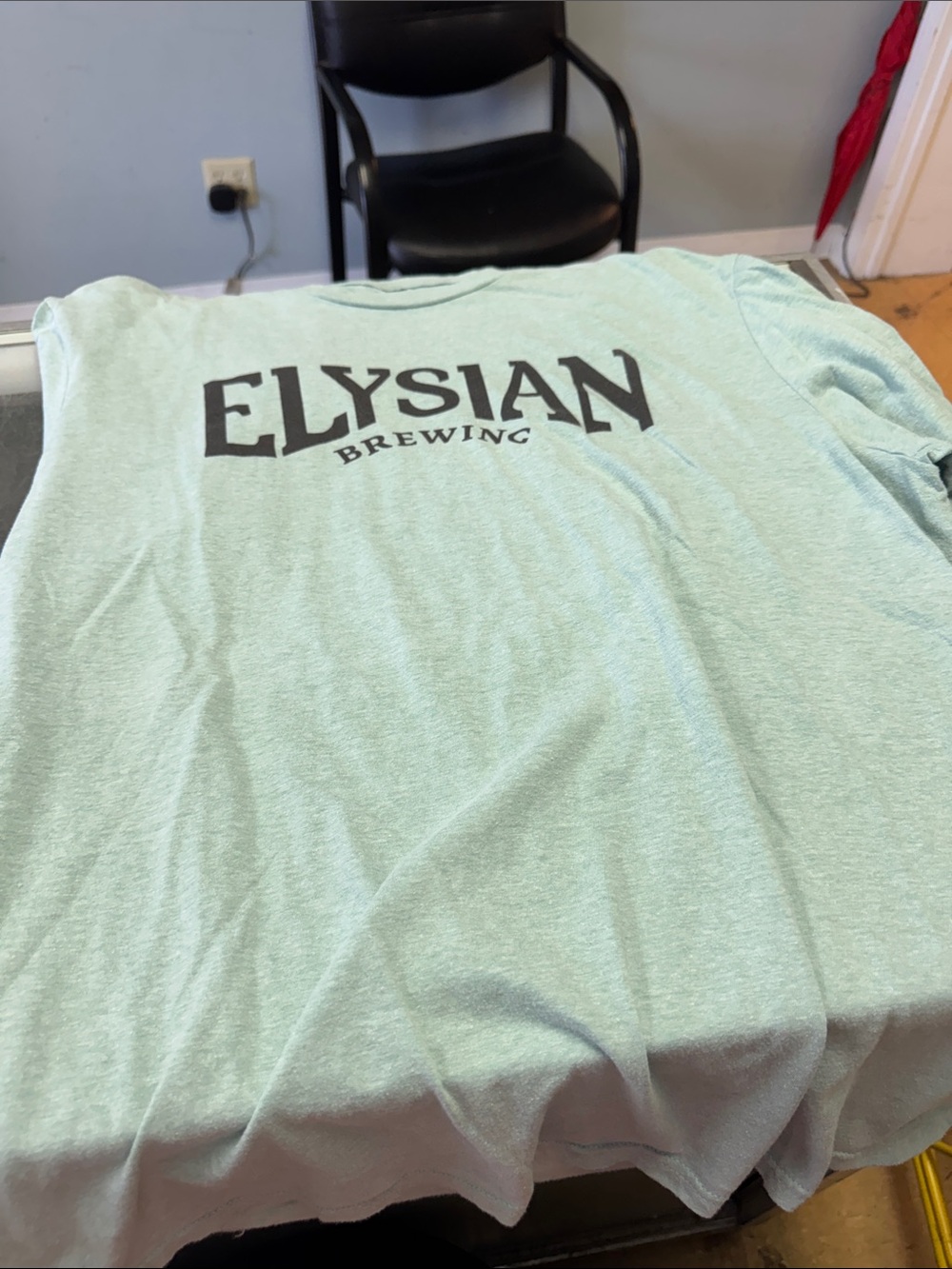Source Unknown Elysian Brewing Mint Green Logo Tee